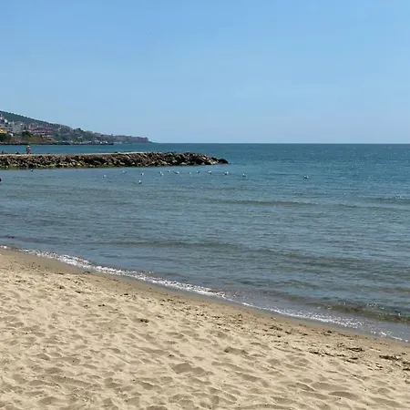 Horizon Gut * Szveti Vlasz